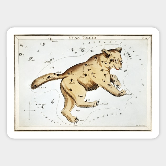 Ursa Major by Sidney Hall (1831) Sticker by WAITE-SMITH VINTAGE ART